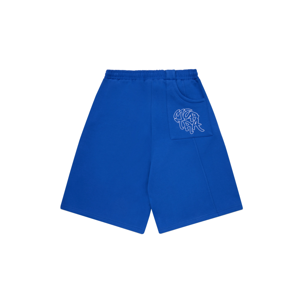 Bigstep Shorts (Blue / White)